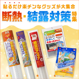 202410ニトムズ冬特集