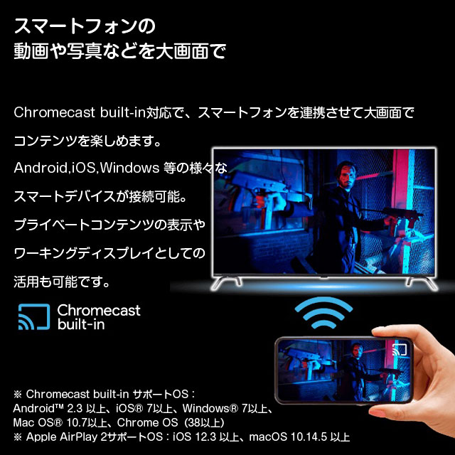 ORION チューナーレススマートテレビ 24V型 SLHD241(24V型): OA