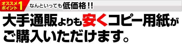 オススメポイント1　なんといっても低価格！！