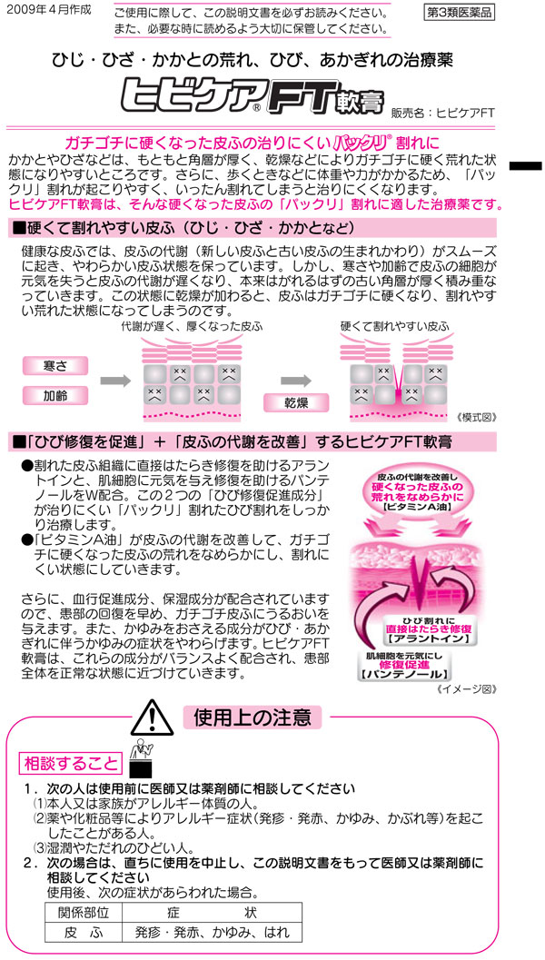 第3類医薬品 池田模範堂 ヒビケア Ft 20g 医薬品 衛生 介護用品 オフィス 現場用品の通販キラット Kilat