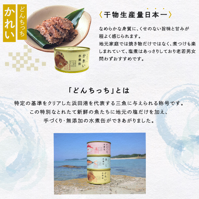 シーライフ　3缶セット:　どんちっち魚　どんちっち缶詰　食品・飲料・産地直送－オフィス・現場用品の通販キラット【KILAT】